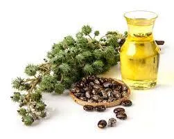 castor oil hair growth beauty tips Kottayam leather scalp massage